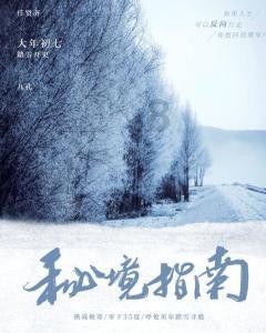 TFboys双人排球